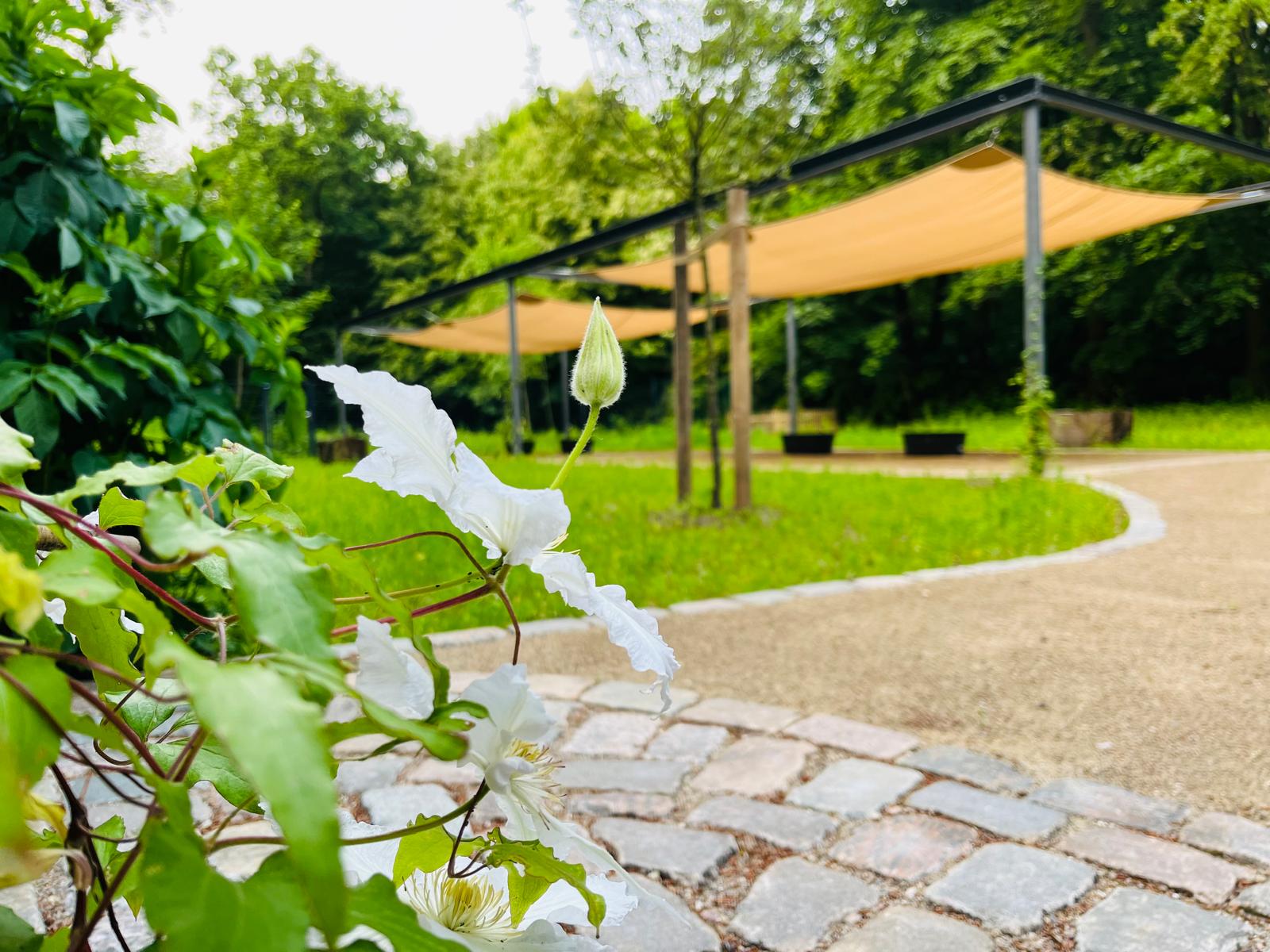Sonnensegel im Heilgarten Hamburg