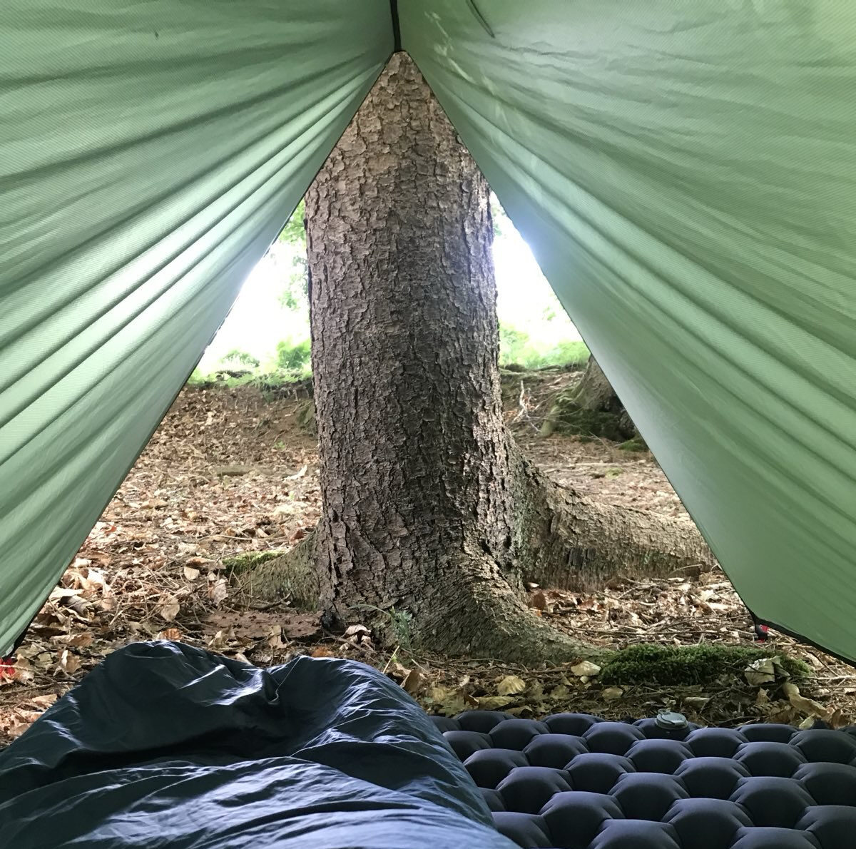Blick aus dem Tarp nach einer Draußennacht