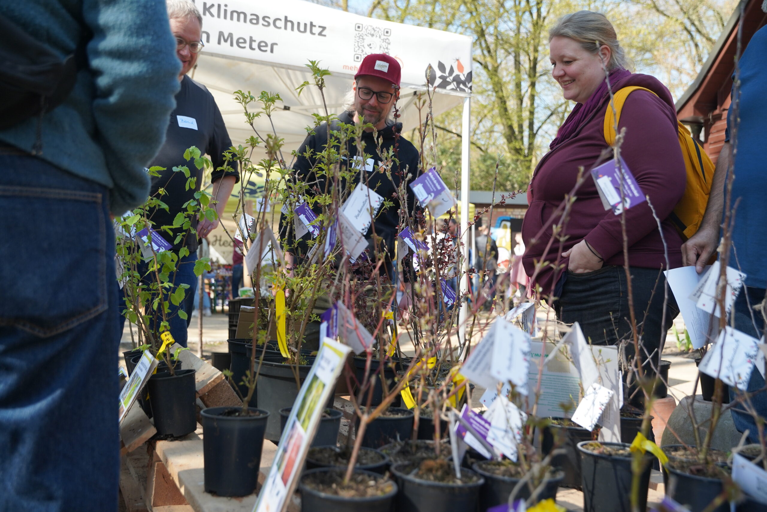 Heckenkieken im Heilgarten Hamburg – Gespräche und Gemeinschaft
