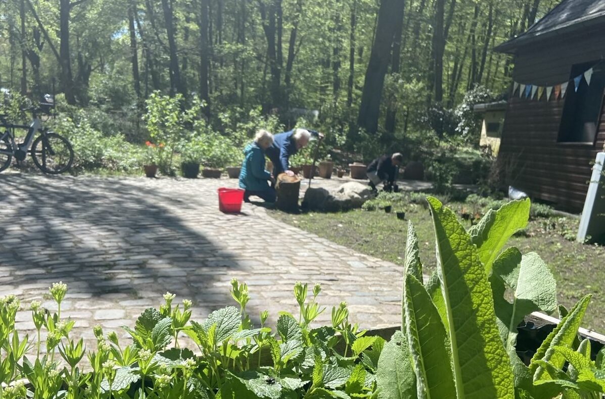 Veranstaltungen im Heilgarten planen